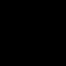 C00033413 К ориг