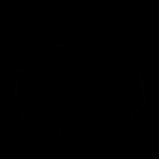 C00285824 К ориг